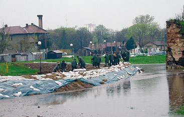 a flock of seagulls in a pool of water