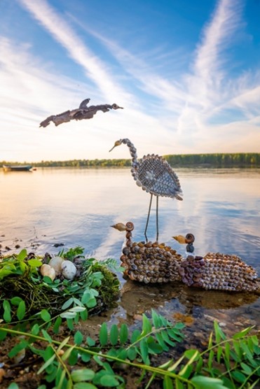 a bird sitting on top of a body of water