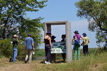 a group of people that are standing in the grass