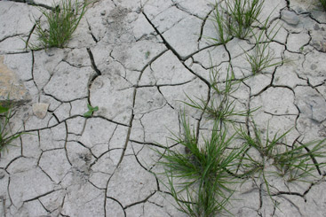 a close up of a stone wall