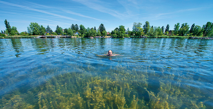 a body of water surrounded by trees