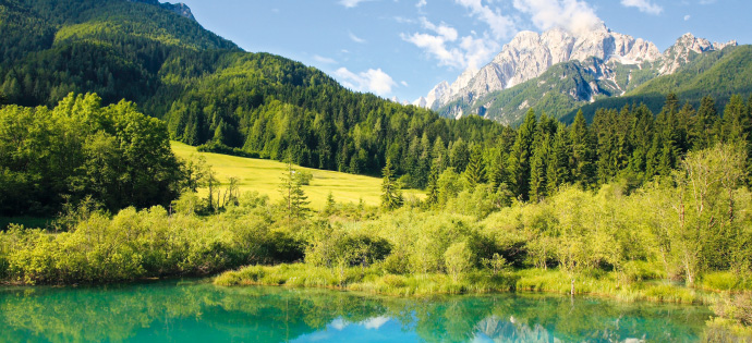 a lake surrounded by green trees and a mountain in the background