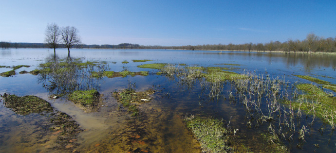 a river running through a body of water