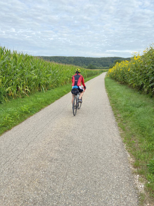 a person riding a bike down a dirt road