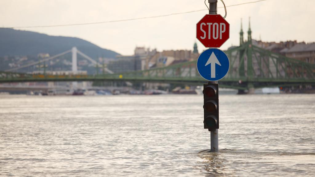 Stop sign in a flooded area