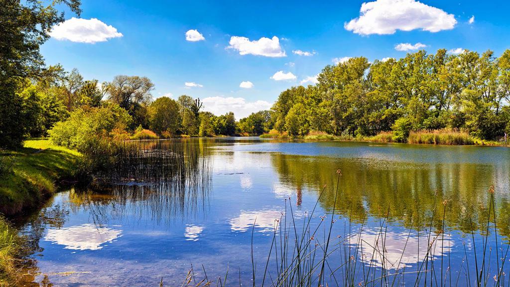 View of a body of water at the National Park Donau Auen, surrounded by vegetation with the reflection of the clouds on the water 