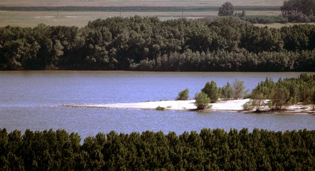 a large body of water surrounded by trees