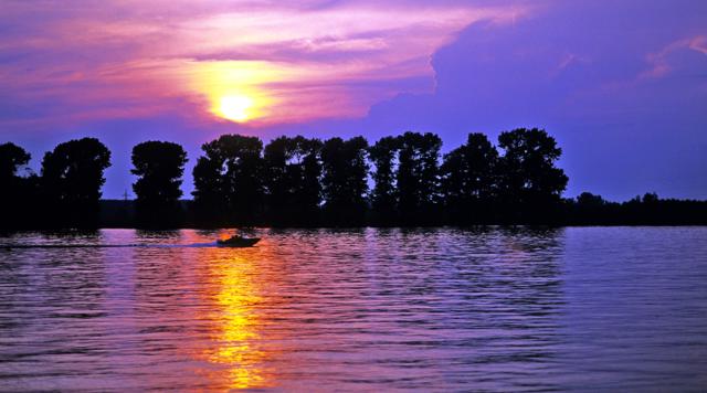 a large body of water and trees in the sunset