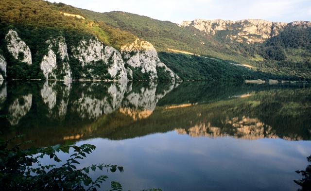 a close up of a hillside next to a body of water