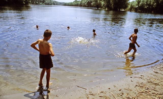 a group of people swimming in a body of water