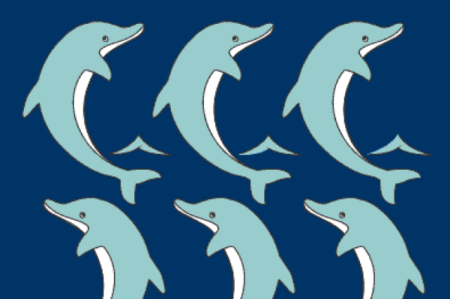 Graph showing 6 dolphins