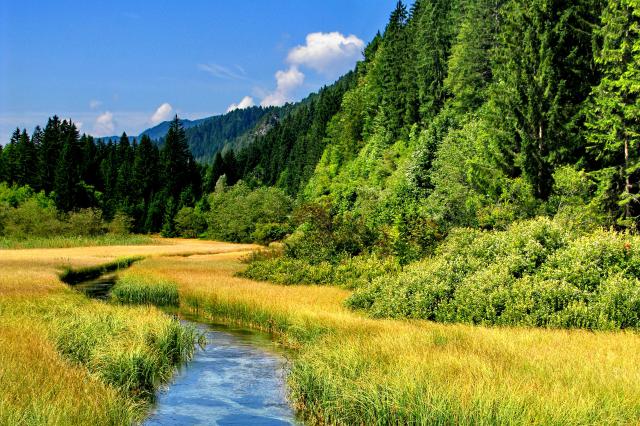 Image of the Sava River below the Planica valley in Slovenia