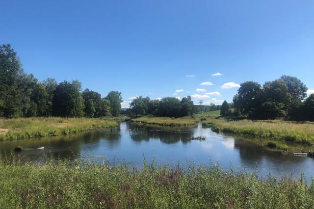 view of the source of the Danube with a body of water in the middle of the photo under clear skies and surrounded by vegetation