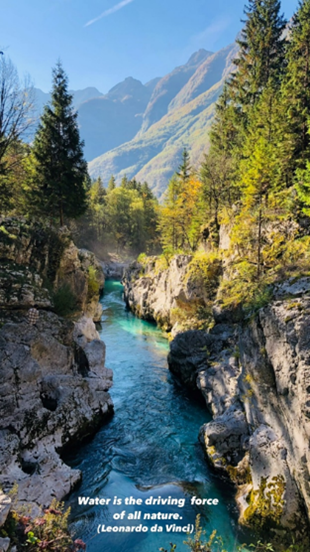 Aerial shot of river through a forest and mountains. 